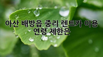 아산 배방읍 중리 렌트카 이용, 연령 제한은?