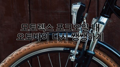 모토렉스 포크오일: 내 오토바이, 다시 쌩쌩하게!