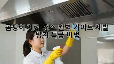 곰팡이 제거 청소 완벽 가이드: 재발 방지 특급 비법!